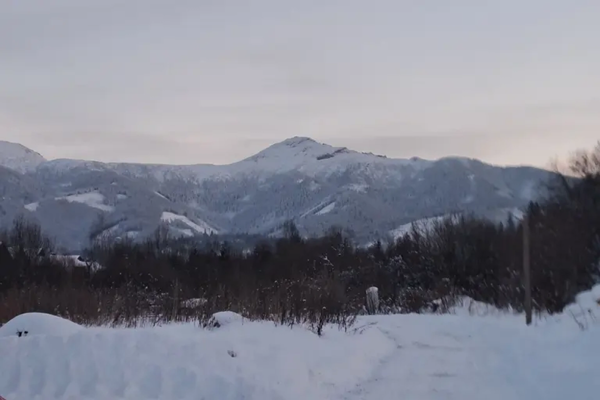 Tarzánia — lanový park